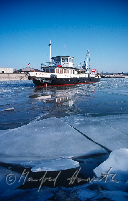Eisbrecherschiff MS Eisvogel beim Eisbrechen der Donau