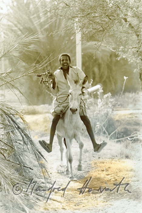 Junge reitet auf einem Esel