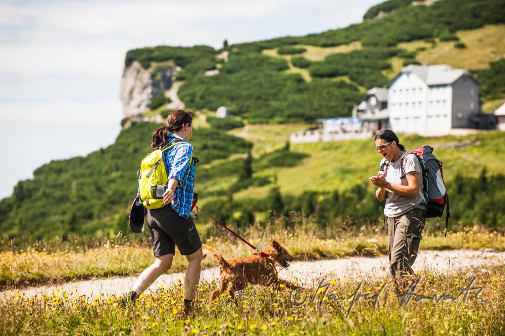 Wanderer mit Hund auf dem Höhenweg beim Erzherzog-Otto-Schutzhaus