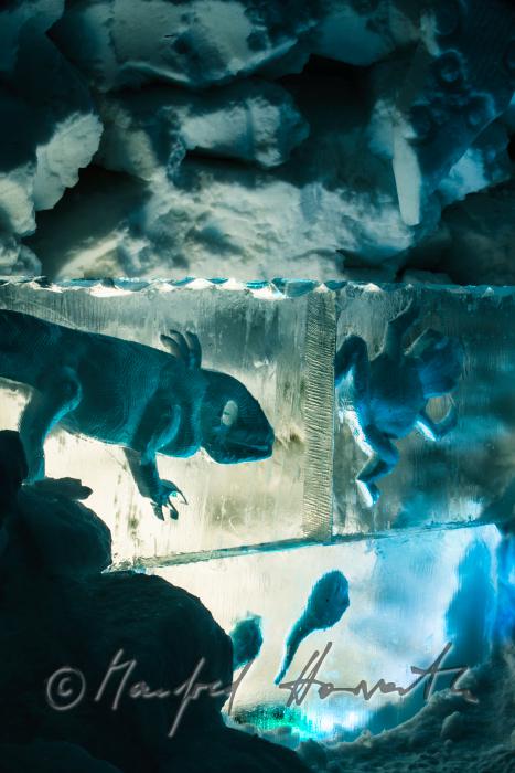 Amphibien aus Eis ald Dekoration im Iglu-Hotel