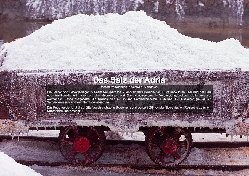 Das Salz der Adria