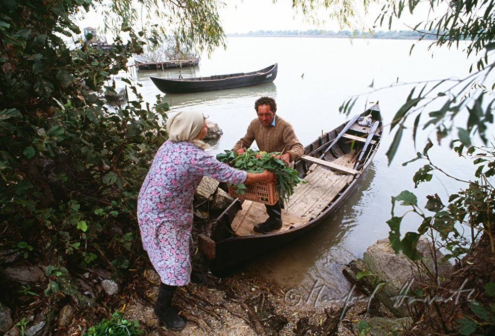 Einladen von Gemüse in das Boot