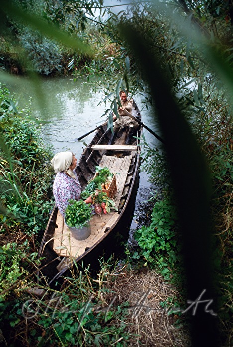 auf dem Weg zum Gemüsebeet jenseits der Donau