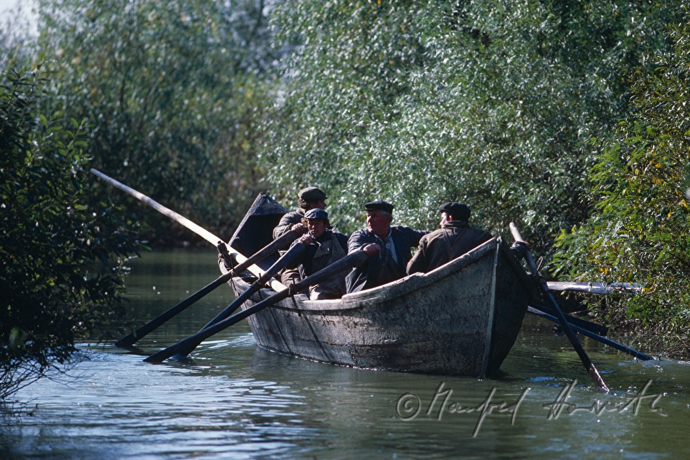 Fischer rudern in einem Donau-Seitenarm
