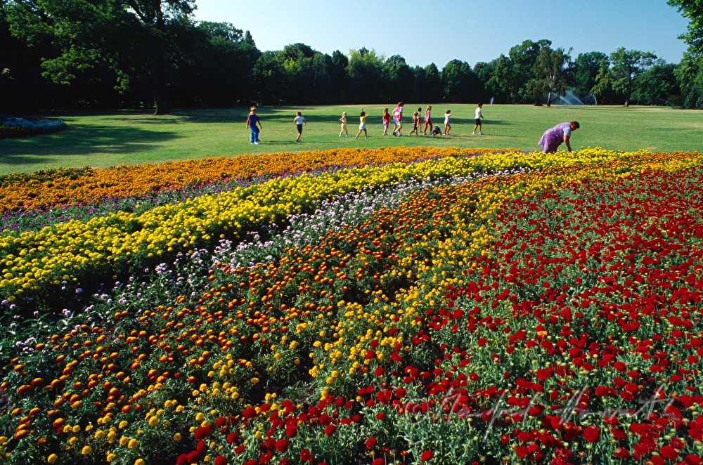 Gärtnerin und Schulklasse im Blumenbeet
