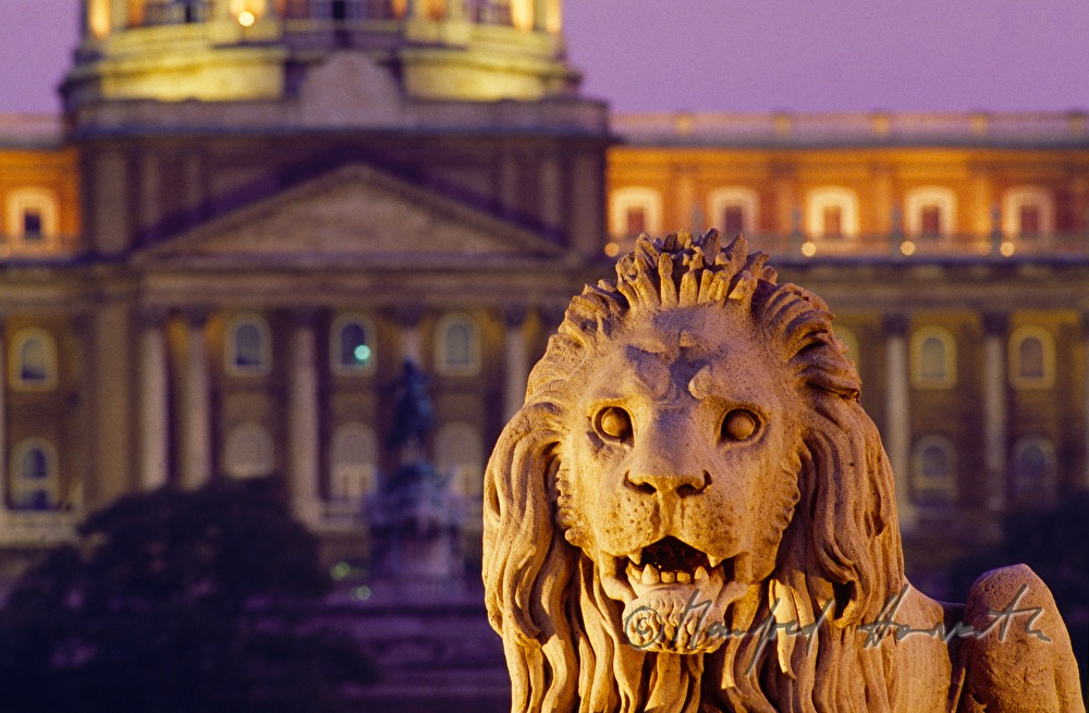 Löwe /Brückenkopf) und Burgpalast