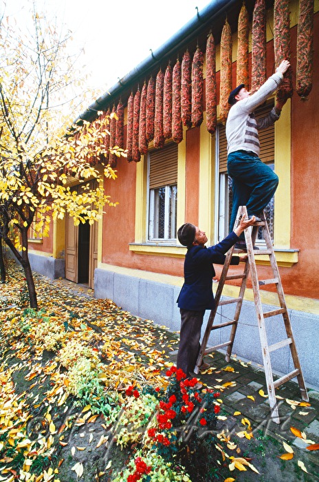 Aufhängen von Netzen mit Paprika zum Trocknen