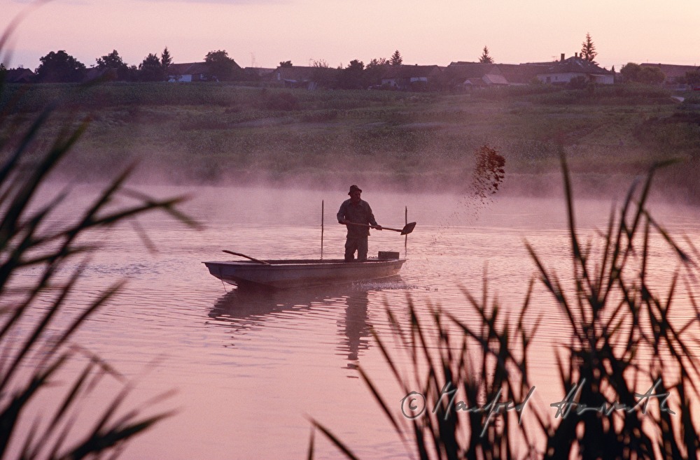 Fischer auf einem Fischteich beim Füttern