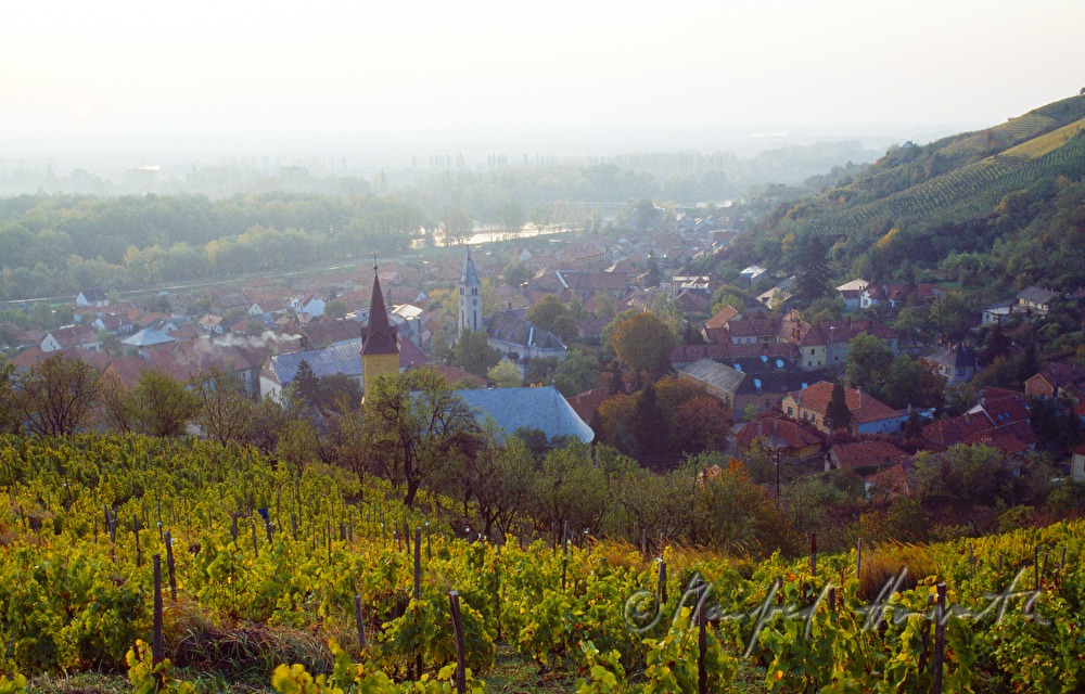 Weinberge, Ort und Theiß