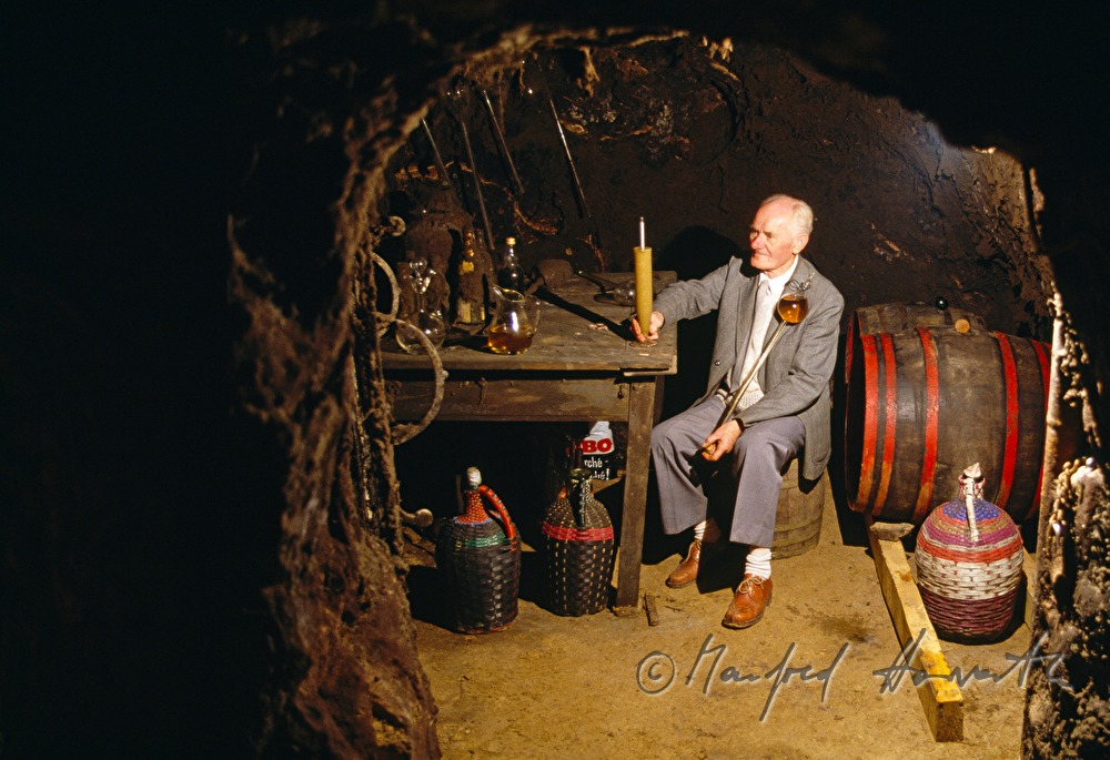 Winzer bei der Wein-Analyse im Weinkeller