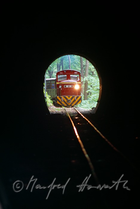 Eisenbahn für Ausflugsfahrten im Tunnel