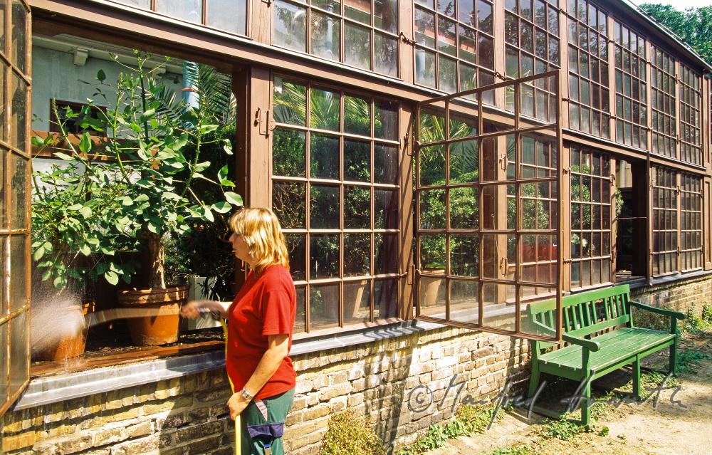 Gärtnerin im Glashaus