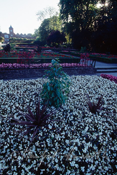 architektonischer Garten und Holland Haus