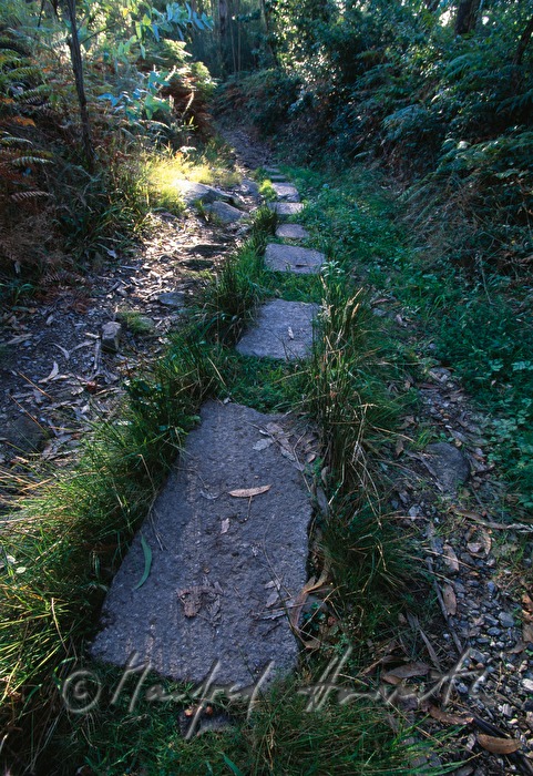 Trittsteine bei Olveiroa