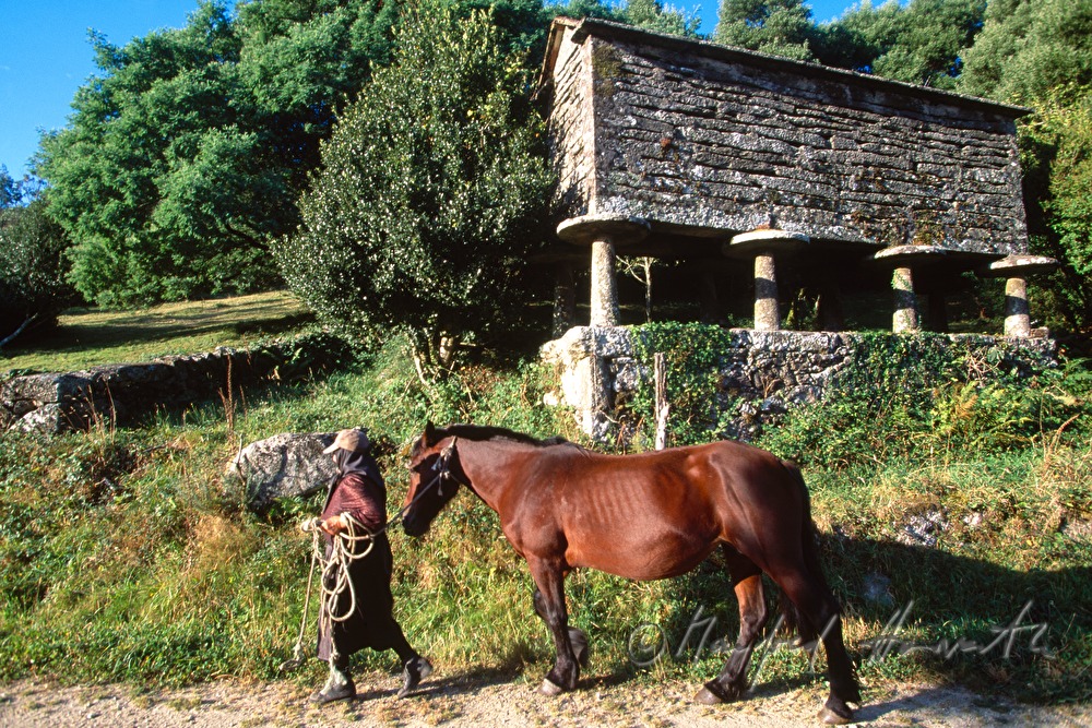 Bäuerin mit Pferd bei einem 