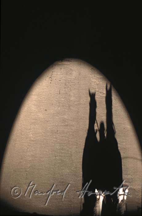 Schatten eines Fiaker-Gespannes
