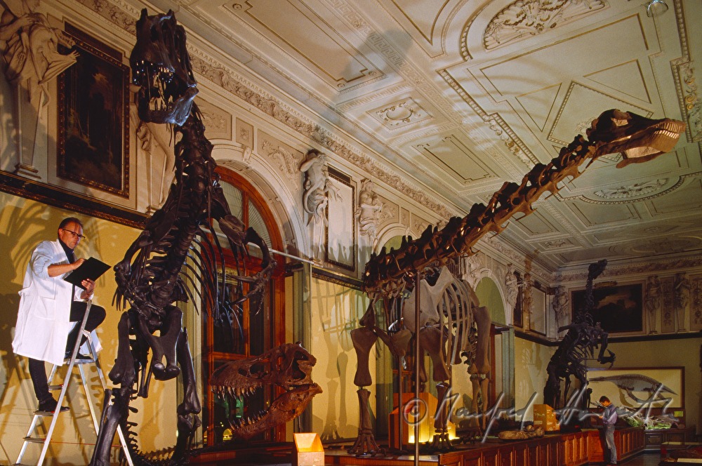 Biologen im Dinosaurier-Saal
