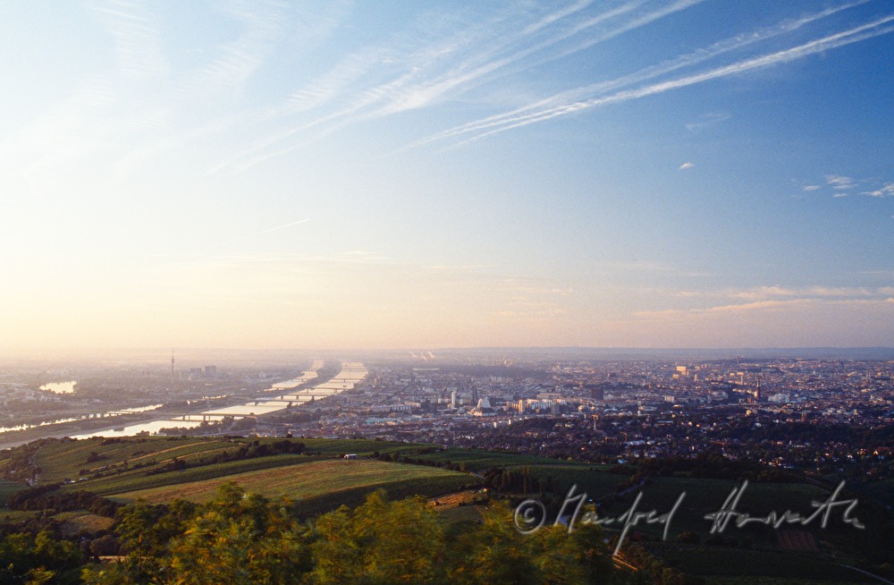 Blick vom Kahlenberg auf die Donau