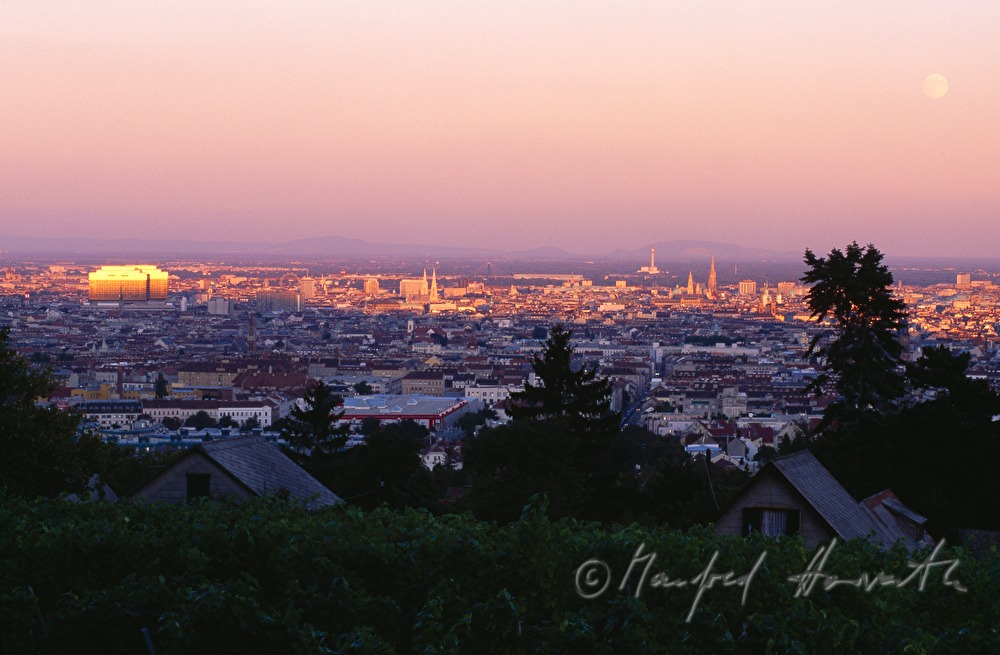 Vollmond über Wien