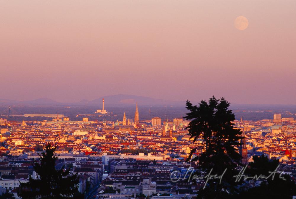 Vollmond über Wien