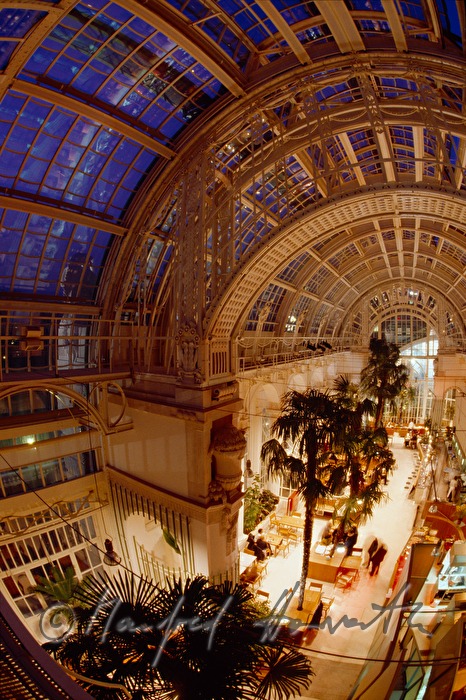 Cafe-Brasserie-Bar Palmenhaus