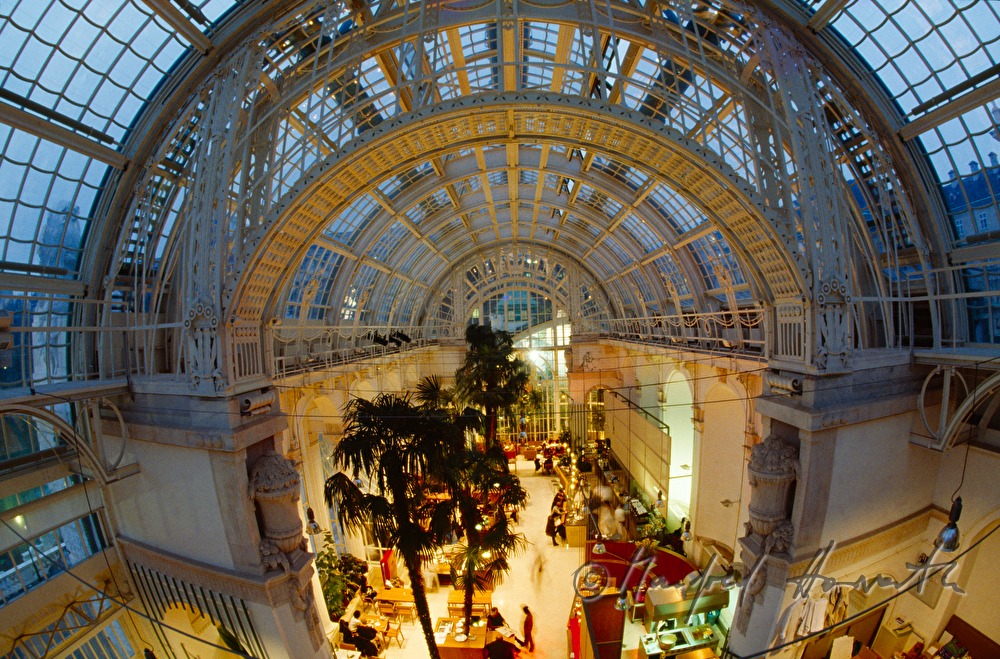 Cafe-Brasserie-Bar Palmenhaus