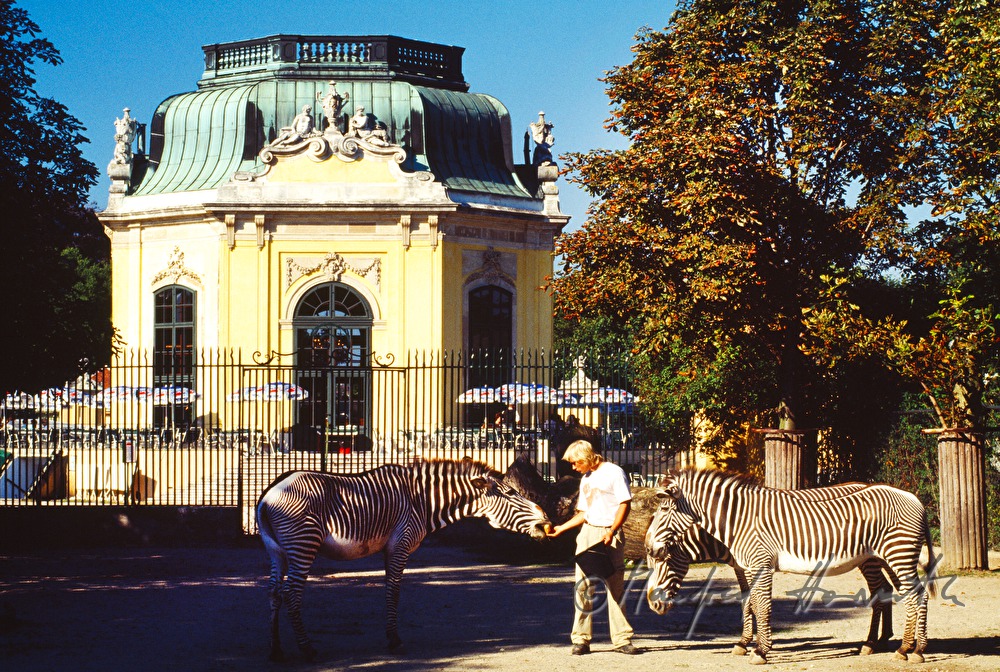 Kaiserpavillon und Zebras mit Tierpfleger