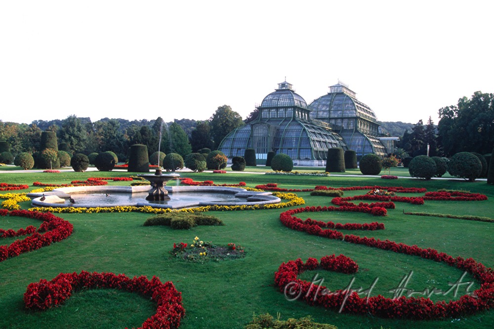 Palmenhaus und  Teich