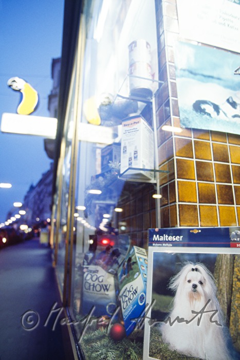 Schaufenster des traditionsreichen 