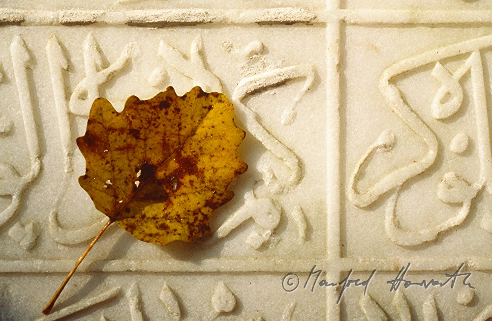 Blatt auf dem Türkenstein (Denkmal)