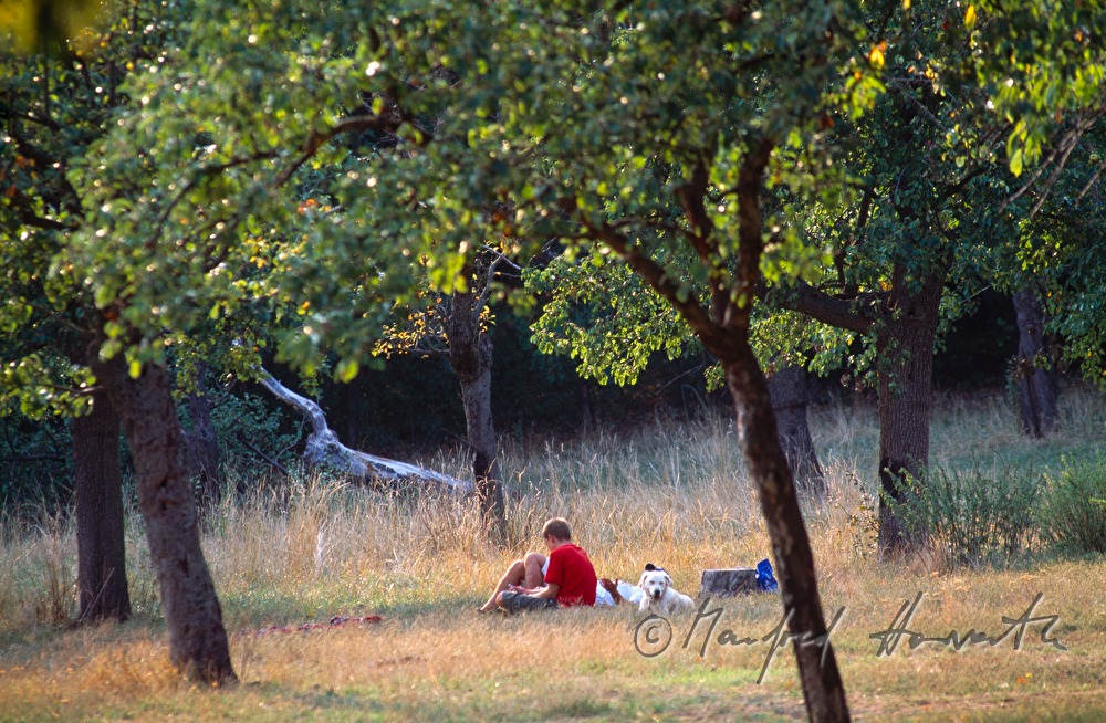 Picknick in der Wiese