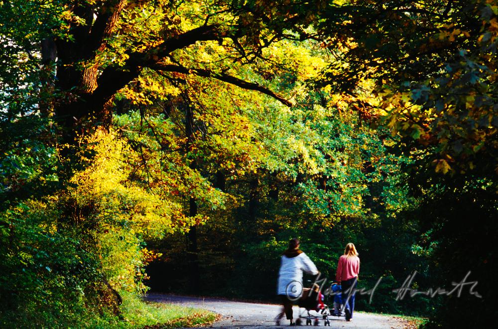 Spaziergänger auf einer Allee im Park
