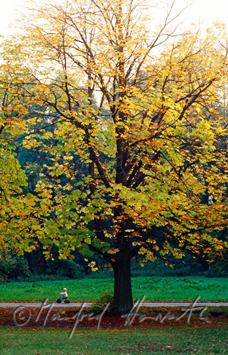 Kind auf Rutschauto in einer Allee im Park