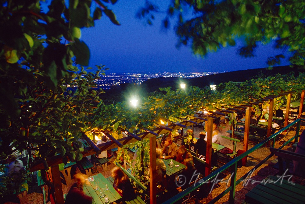 Laube von Heurigen Sirbu mit Wien-Blick