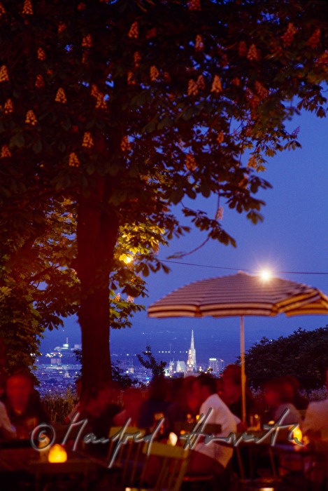 Terrasse von Restaurant Villa Aurora mit Blick auf Wien