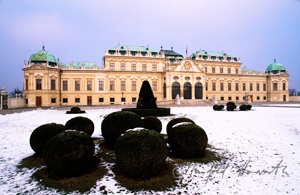 Oberes Belvedere mit Buchsbäumen