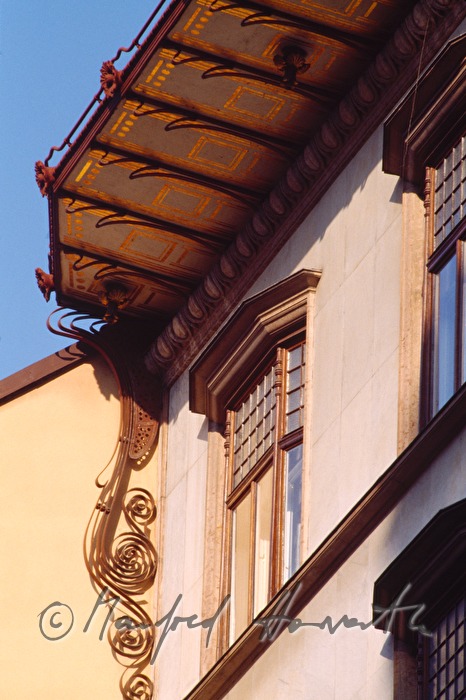 Artaria Haus, Detail vom Dach