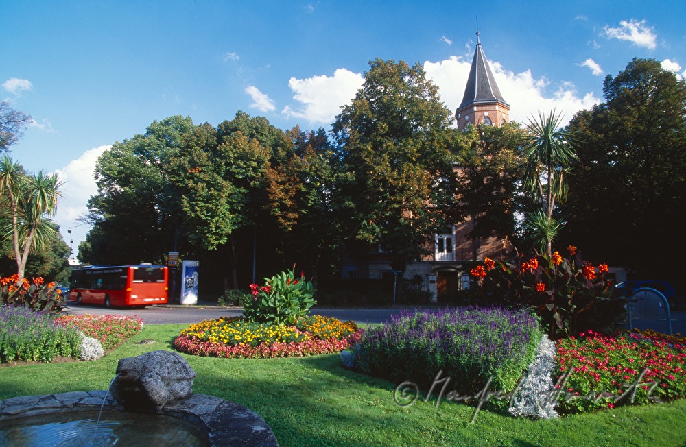 Parkanlage im Kreisverkehr an der Hasenauerstrasse