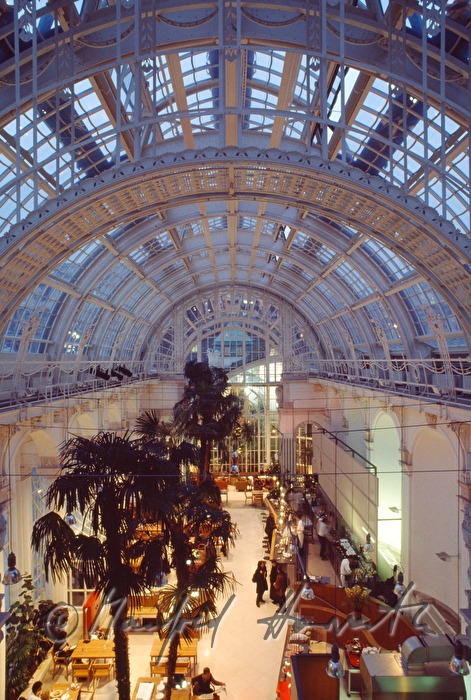 Blick von der Balustrade in das Palmenhaus (Lokal)