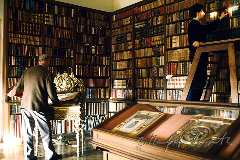 Studierende im Franz-Joseph-Lesesaal