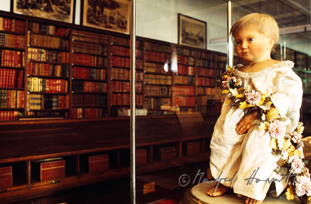 Interieur der Fideikomissbibliothek