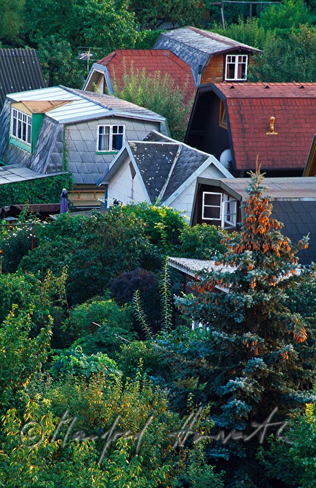 Schrebergartensiedlung 