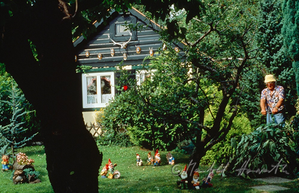 Schrebergartensiedlung 
