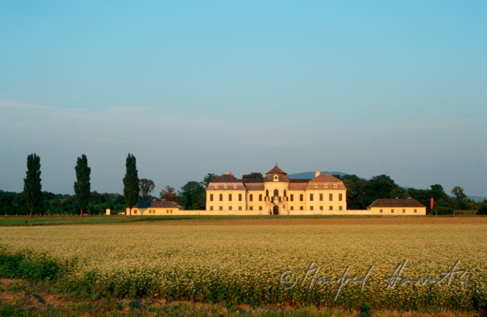 Marchfeld-Schloss Niederweiden und Kartoffelfeld