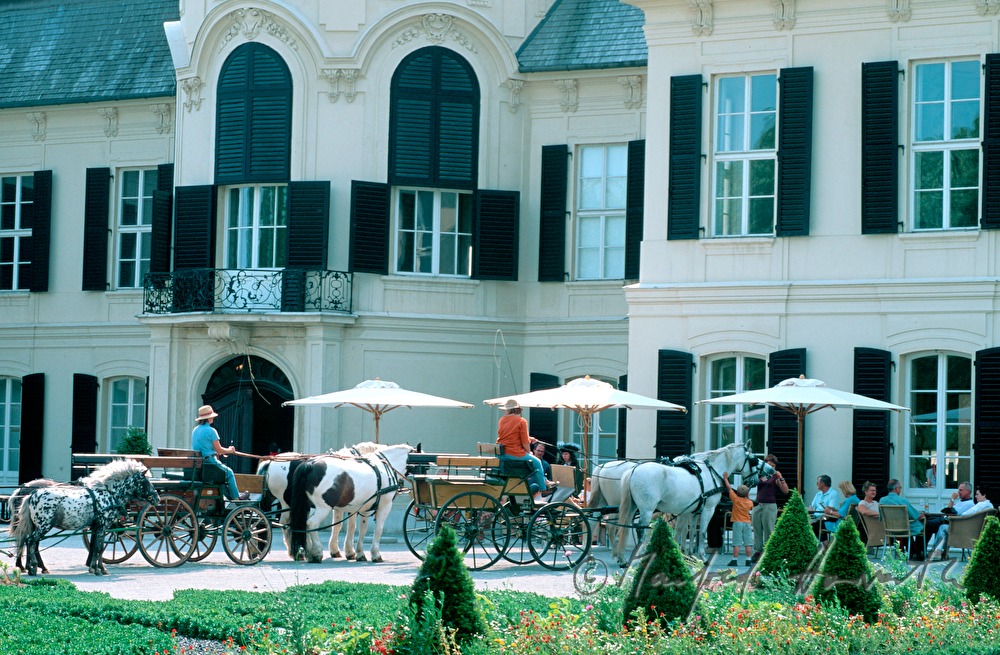 Schloss Niederweiden, Cafe, Pferdewägen