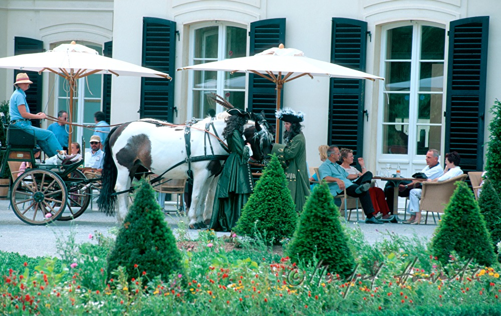 Schloss Niederweiden, Cafe, Pferdewägen