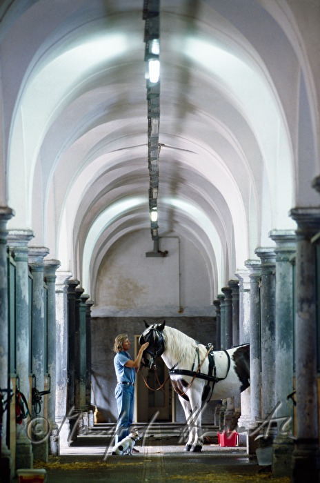 Schlosshof, horse stable