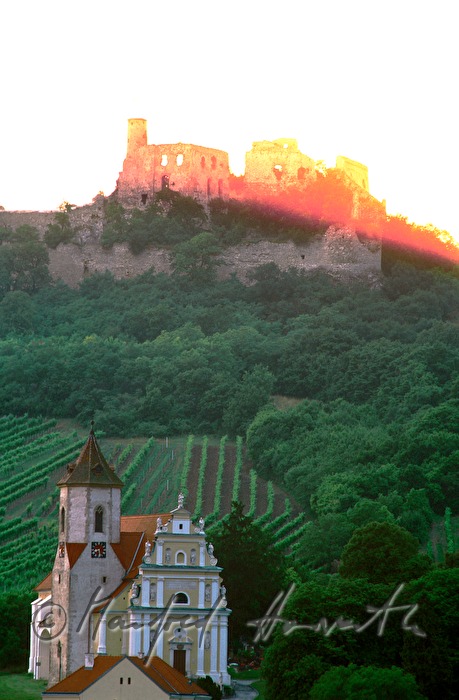 Falkenstein, Kirche und Ruine, Weingärten