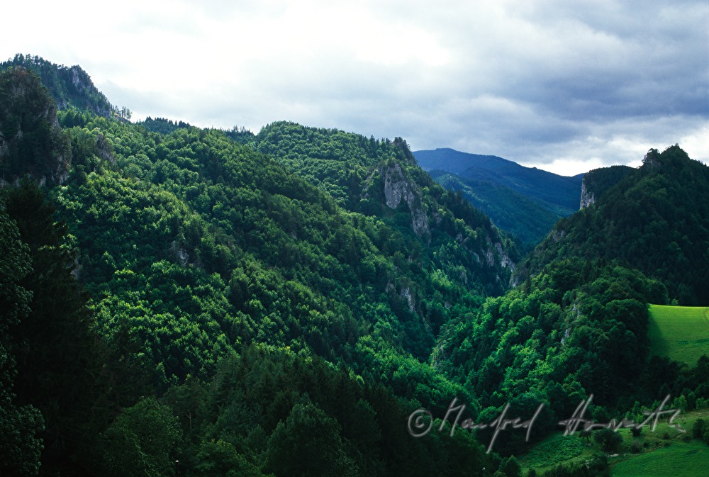 Adlitzgräben, Wald und Felsnadeln