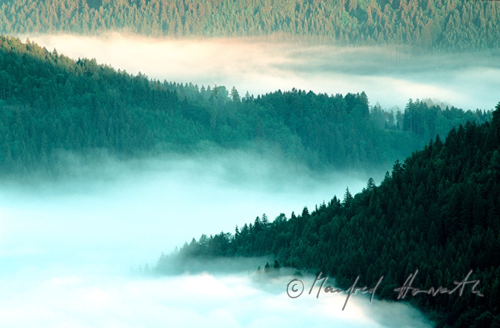 Morgennebel in den Tälern und am Lunzersee